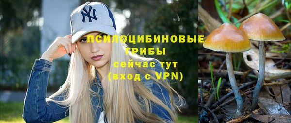 mdpv Баксан