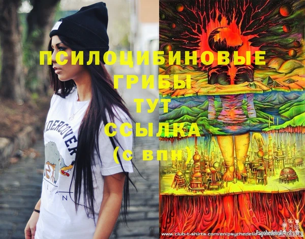 spice Балабаново