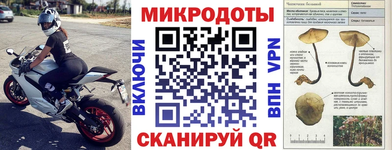 купить наркотик Кондрово Псилоцибиновые грибы Cubensis